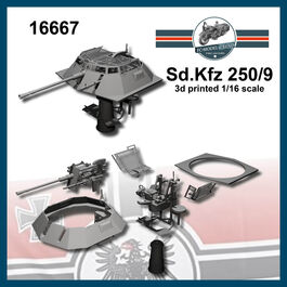16667 Sd.Kfz 250/9 escala 1/16.