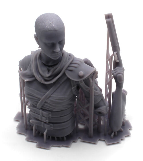 10421 Furiosa, escala 1/10-