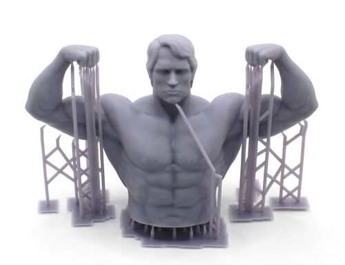 10424 Mr. Olimpia, busto escala 1/10.