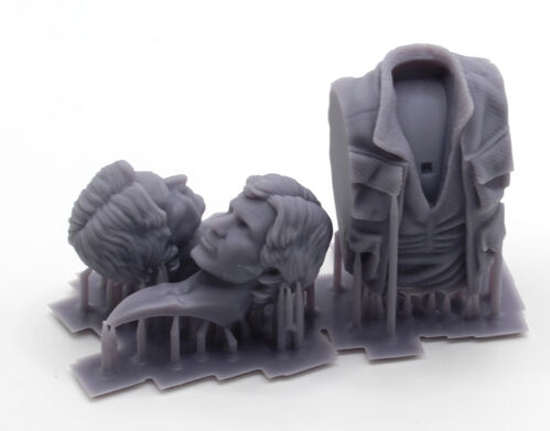 10434 Scoundrel busto escala 1/10.