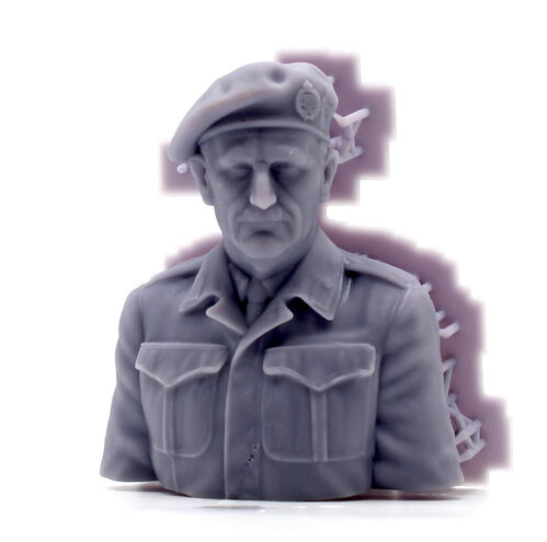 10454 Bernard Montgomery, busto escala 1/10